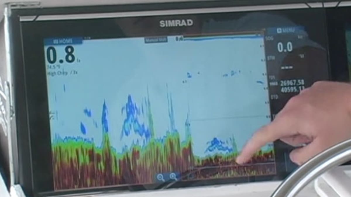 Hobie/Lowrance fishing kayak & Simrad TripIntel - Panbo