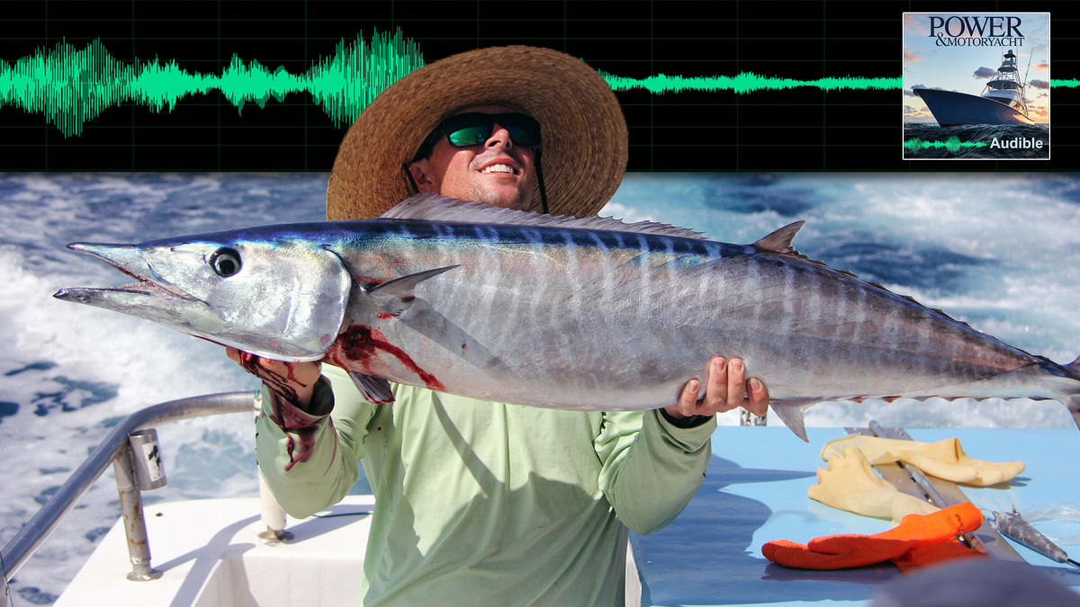 Wahoo Fishing: species guide, charters and destinations - Tom's Catch