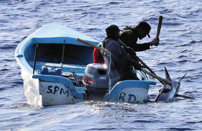 Clashes in the Dominican Republic over blue marlin. - Power & Motoryacht