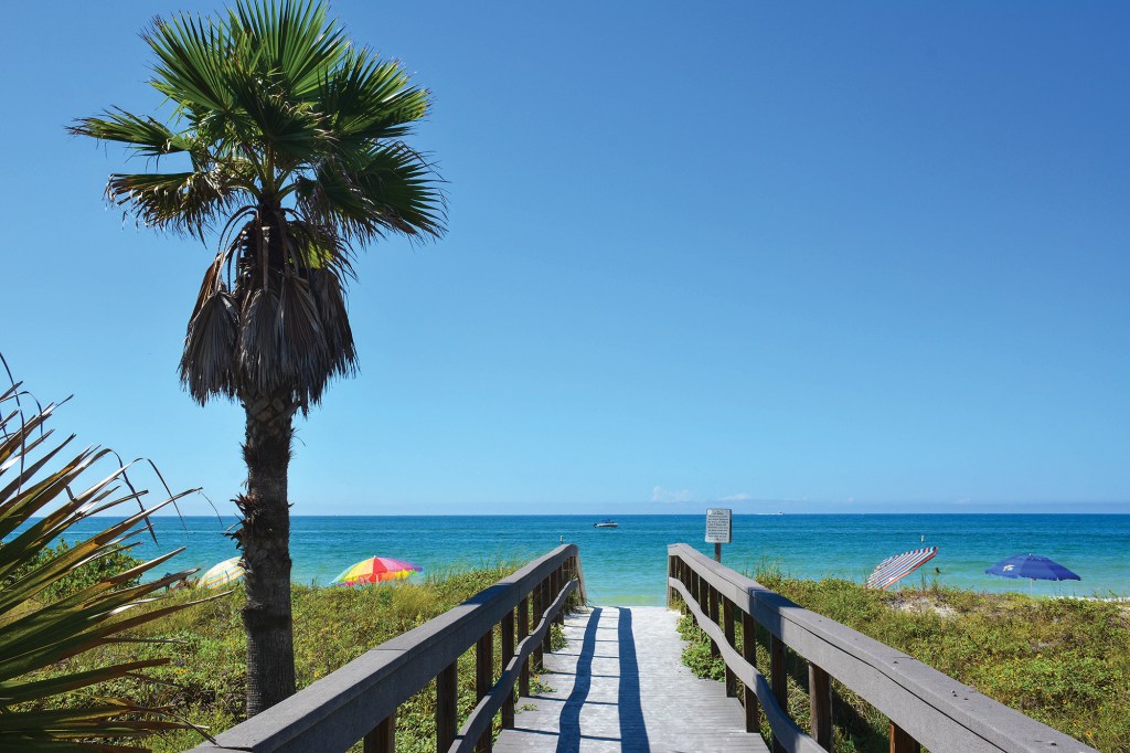 A straight-on view of a wooden boardwalk beach access path leading toward the turquoise waters and blue sky of St. Petersburg, Florida, with a prominent palm tree on the left and colorful beach umbrellas scattered along the sand.