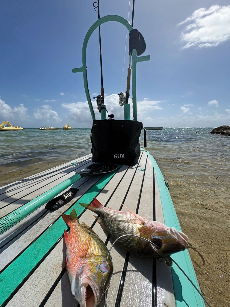 A low-angle, full-length shot looking down the deck of a turquoise and grey stand-up paddleboard rigged for fishing in shallow, clear ocean water. In the foreground, two freshly caught red and yellow fish lie on the board's slatted traction pad. A black RUX waterproof bag sits behind a black paddle, positioned at the base of a custom turquoise metal rod rack holding two upright fishing rods. The background features calm tropical water, distant small boats, and a bright blue sky with light clouds.
