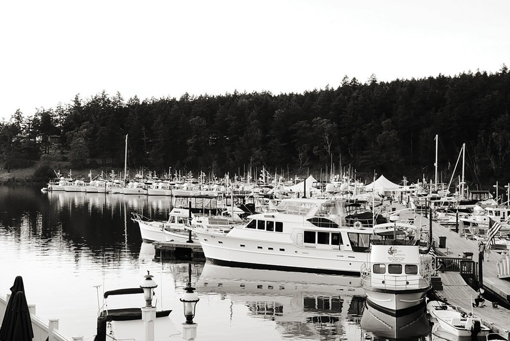 A black-and-white high-angle photograph showing a busy marina docked with numerous classic motor yachts and trawlers along wooden piers, set against a backdrop of a dense pine forest lining the calm harbor.