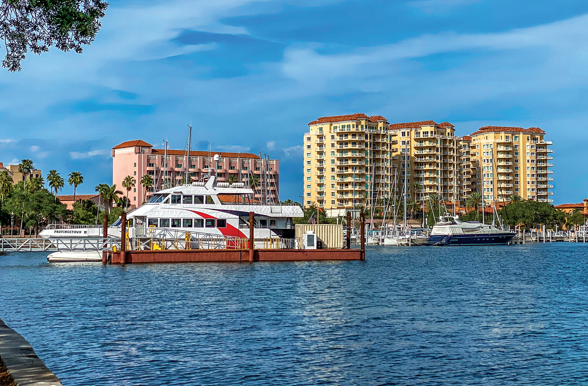 A white passenger ferry docked in a marina along the St. Petersburg, Florida waterfront with high-rise buildings and palm trees in the background.